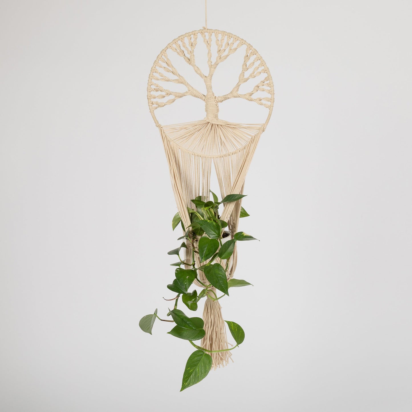 Tree of Life Macrame Hanging Plant Holder