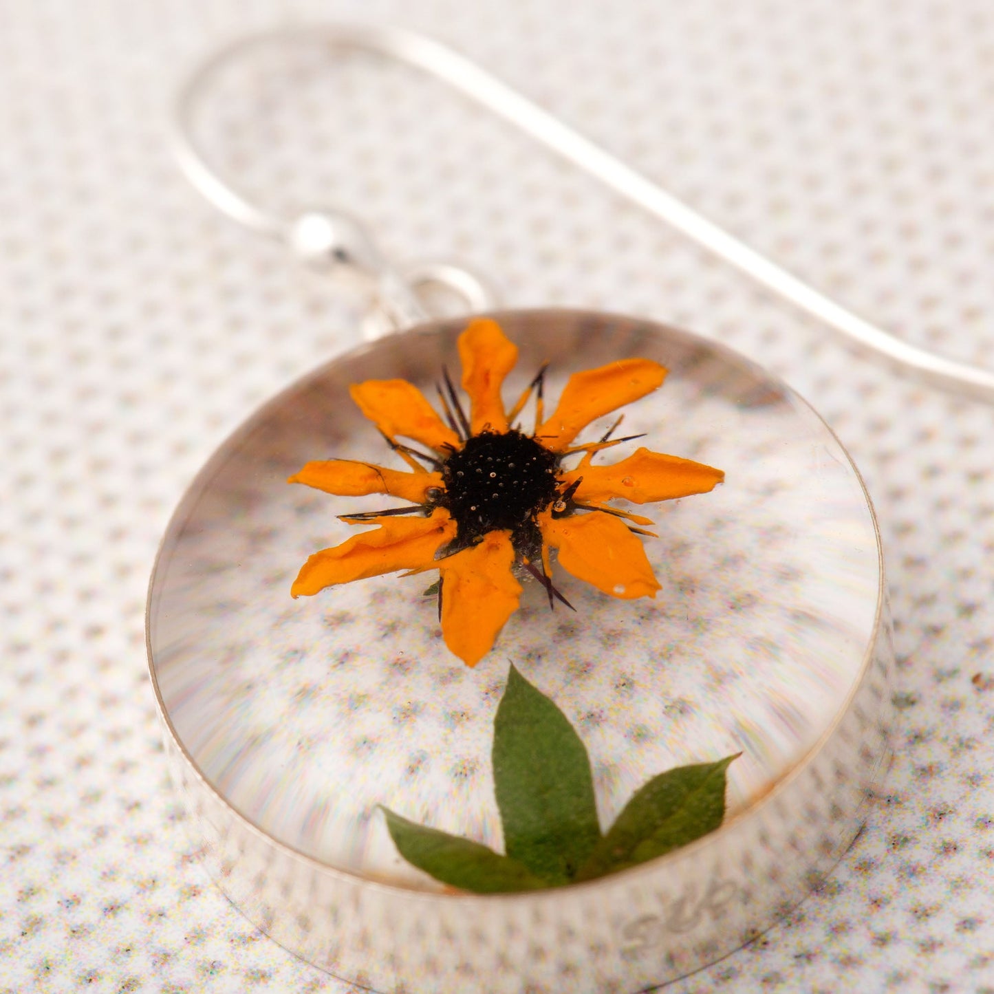 Real Sunflower & Sterling Earrings