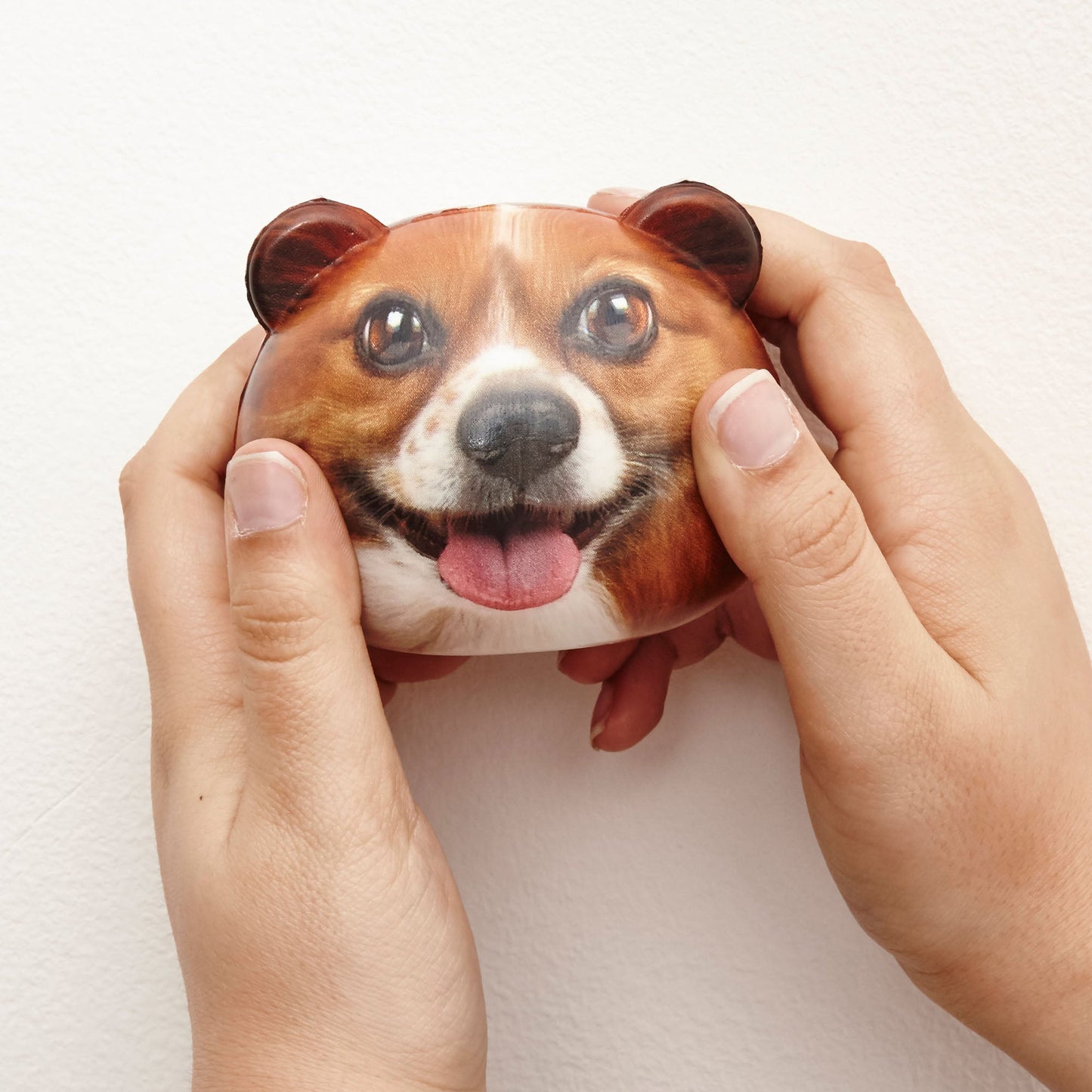 Dog Stress Ball