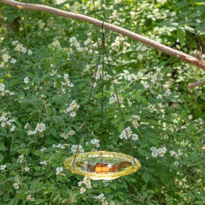 Honeybee Hanging Bird Feeder