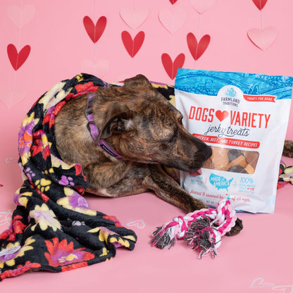 6th Annual Send a Valentine & Love To a Shelter Fur Baby