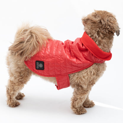 AKC Belly Band Dog Puff Coat