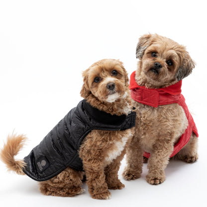 AKC Belly Band Dog Puff Coat