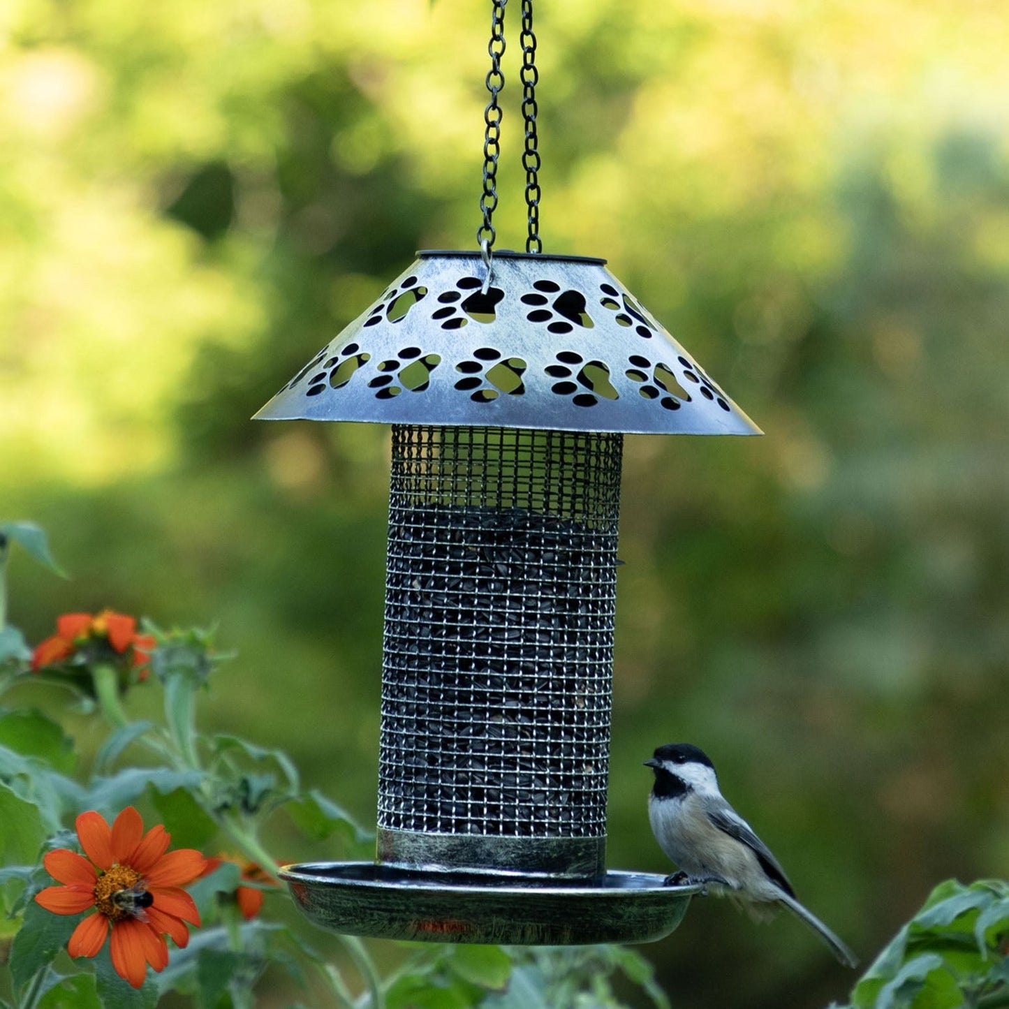 Paw Print Solar Hanging Bird Feeder