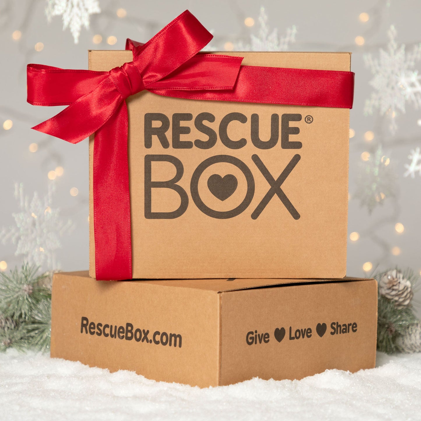 RescueBox&reg; - Spoil Your Pet, Help Animals In Need