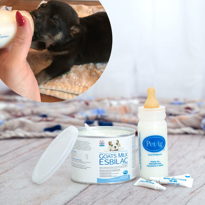 Virtual - Emergency Care: Life-Saving Formula Kits For Fur Babies