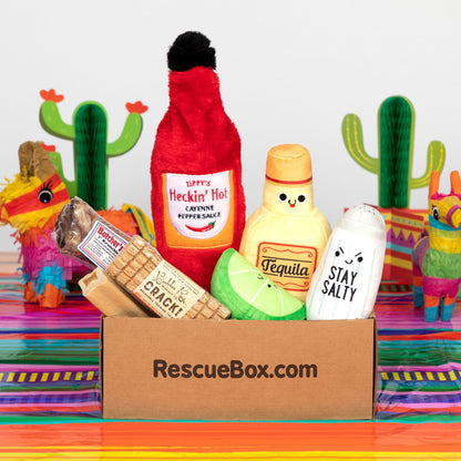 RescueBox&reg; - Spoil Your Pet, Help Animals In Need