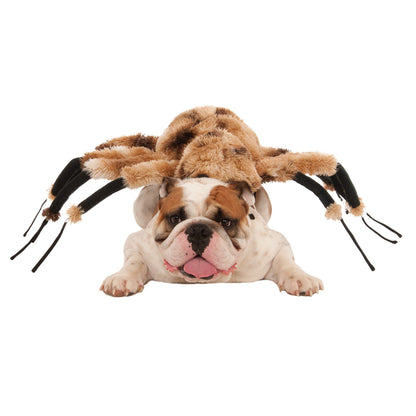 Giant Spider Pet Costume