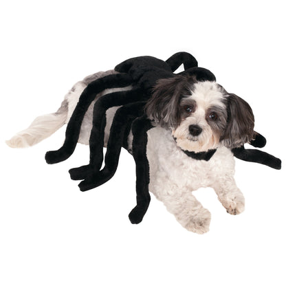 Spider Dog Costume