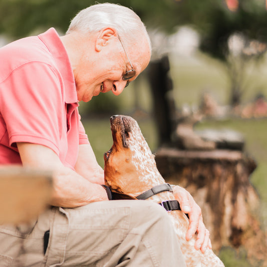 Animal Aid Society in Hampton, VA | Clear The Shelters image