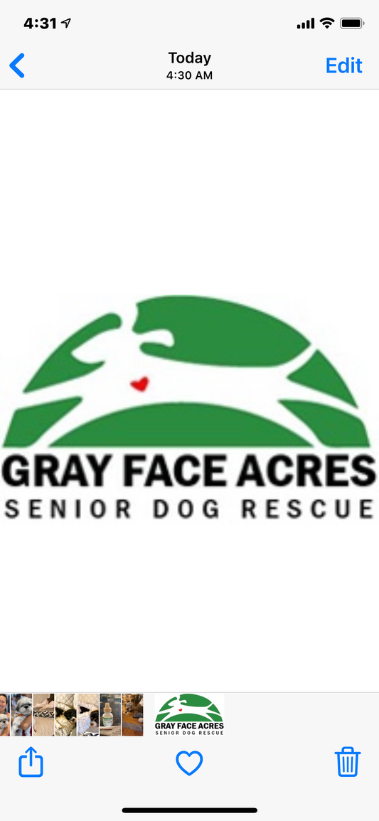 Gray Face Acres Senior Dog Rescue in Catharpin, VA | Clear The Shelters image