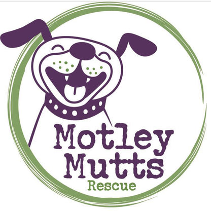 Motley Mutts Rescue  in Manchester, 506 | Clear The Shelters 2022 image
