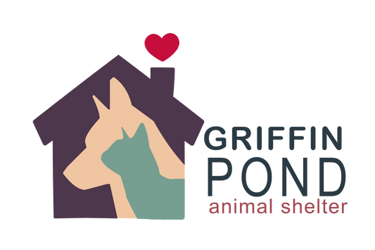 Griffin Pond Animal Shelter in South Abington, 577 | Clear The Shelters 2022 image