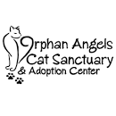 Orphan Angels cat sanctuary and adoption center in Erie, 516 | Clear The Shelters 2022 image