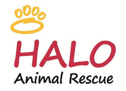 HALO Animal Rescue in Phoenix, 753 | Clear The Shelters 2022 image