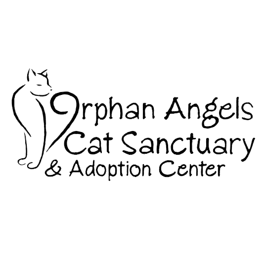 Orphan Angels in Erie, 516 | Clear The Shelters 2022 image