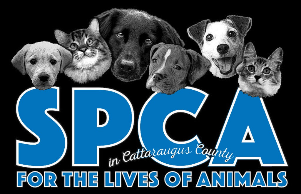 SPCA in Cattaraugus County in Olean, 514 | Clear The Shelters 2022 image