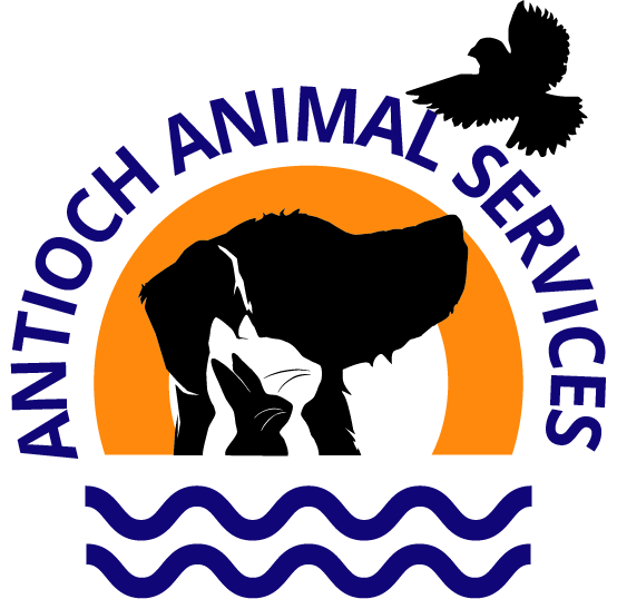 Antioch Animal Services in Antioch, 807 | Clear The Shelters 2022 image