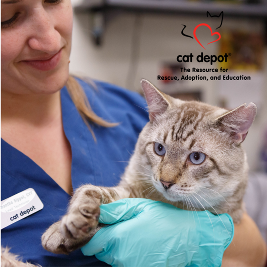 Cat Depot in Sarasota, FL | Clear The Shelters image