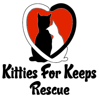 Kitties For Keeps Rescue in Hickory Hills, Il. 60457, IL | Clear The Shelters image