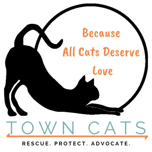 Town Cats in Morgan Hill, CA | Clear The Shelters image