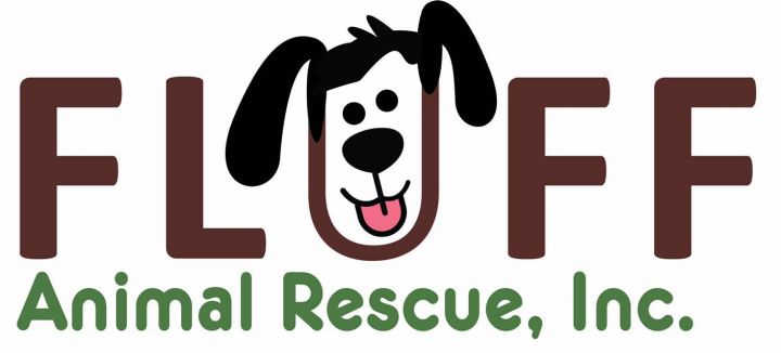 FLUFF Animal Rescue, Inc in Seminole, 539 | Clear The Shelters 2022 image