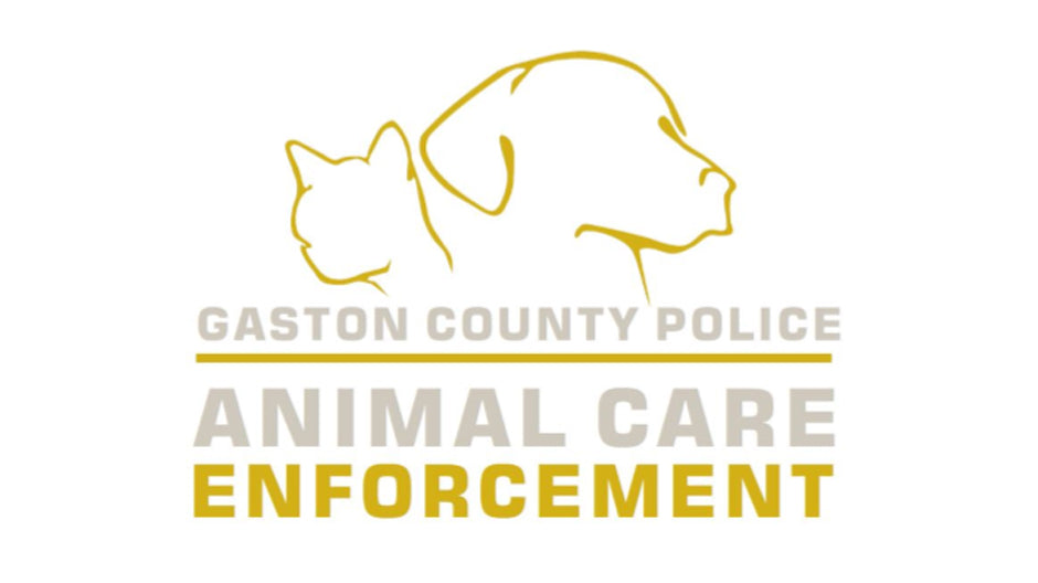 Gaston County Animal Care and Enforcement in Gastonia , NC | Clear The Shelters image