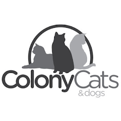 Colony Cats (& dogs) in Columbus, OH | Clear The Shelters image