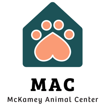 McKamey Animal Center in Chattanooga, 575 | Clear The Shelters 2022 image
