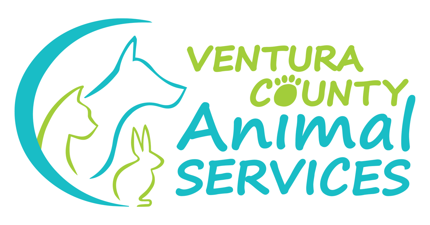 Ventura County Animal Services - Simi Valley in Camarillo, 803 | Clear The Shelters 2022 image