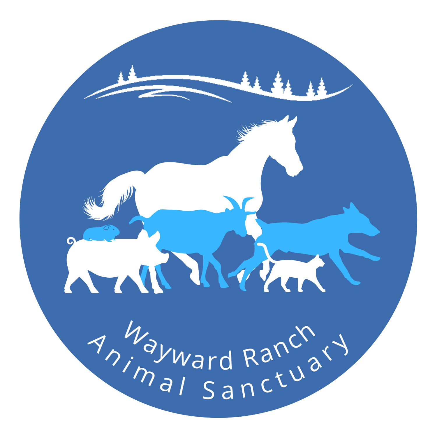 Wayward Ranch Animal Sanctuary in Kerhonkson, 501 | Clear The Shelters 2022 image