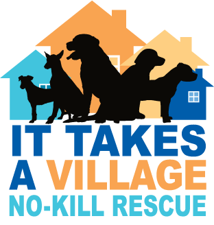 It Takes A Village in Evansville, 649 | Clear The Shelters 2022 image