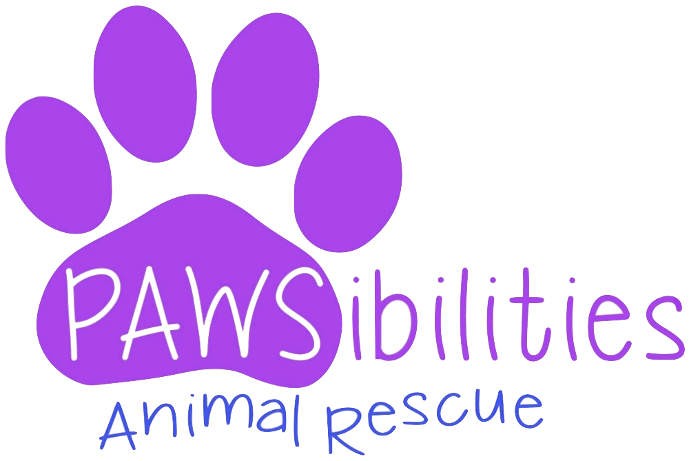 PAWSibilities Animal Rescue in Harleysville, PA | Clear The Shelters image