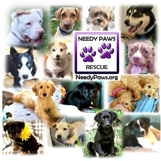 Needy Paws Rescue in Saint Louis, 609 | Clear The Shelters 2022 image