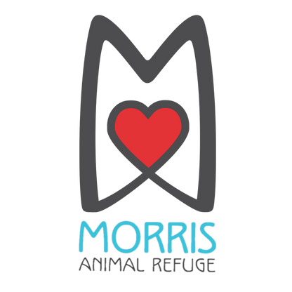 Morris Animal Refuge in Philadelphia, 504 | Clear The Shelters 2022 image