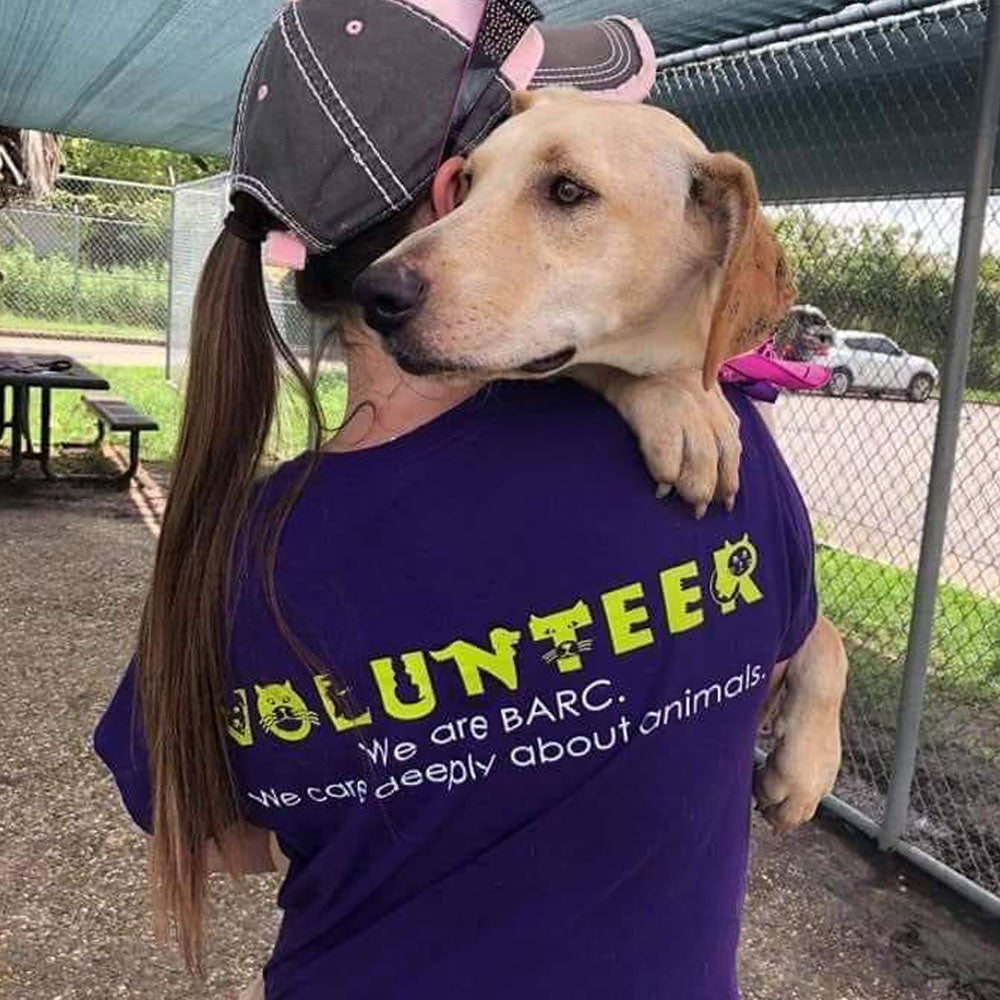 BARC Animal Shelter & Adoptions in Houston, TX | Clear The Shelters image