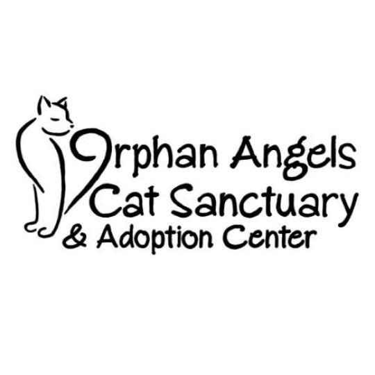 Orphan Angels in Erie, PA | Clear The Shelters image