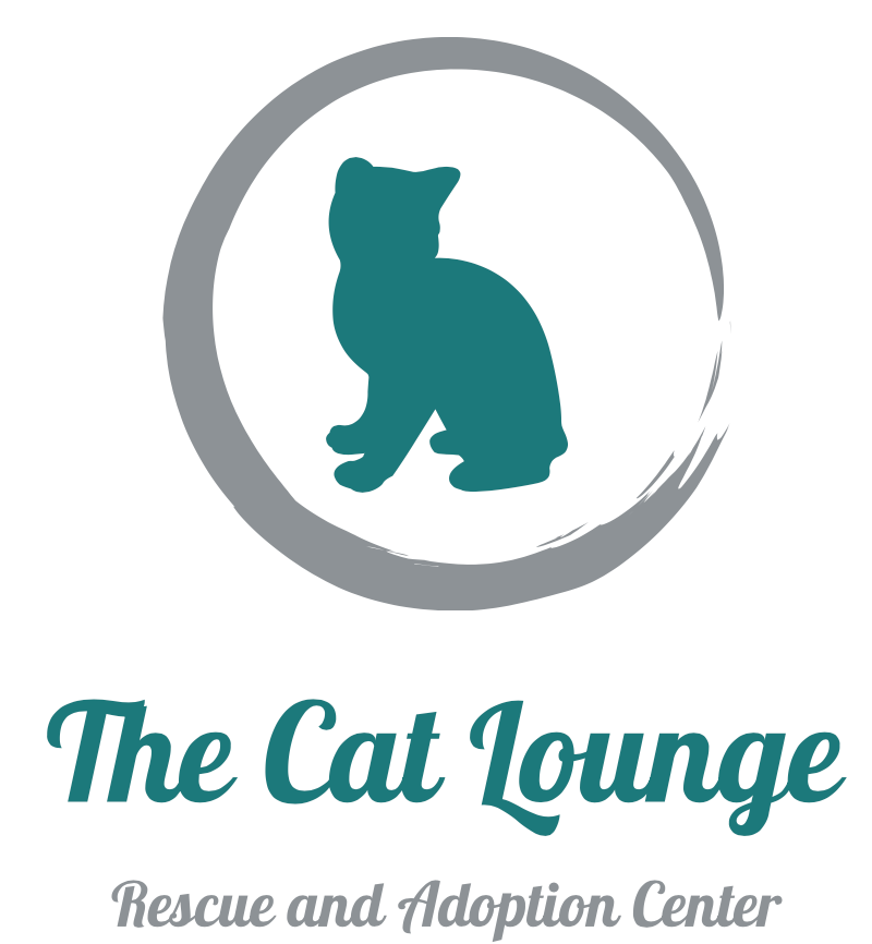 The Cat Lounge Rescue and Adoption Center in La Jolla, 825 | Clear The Shelters 2022 image