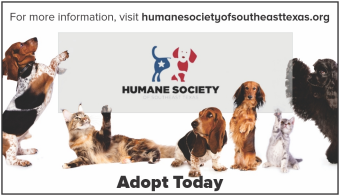 Humane Society of Southeast Texas in Beaumont, 692 | Clear The Shelters 2022 image