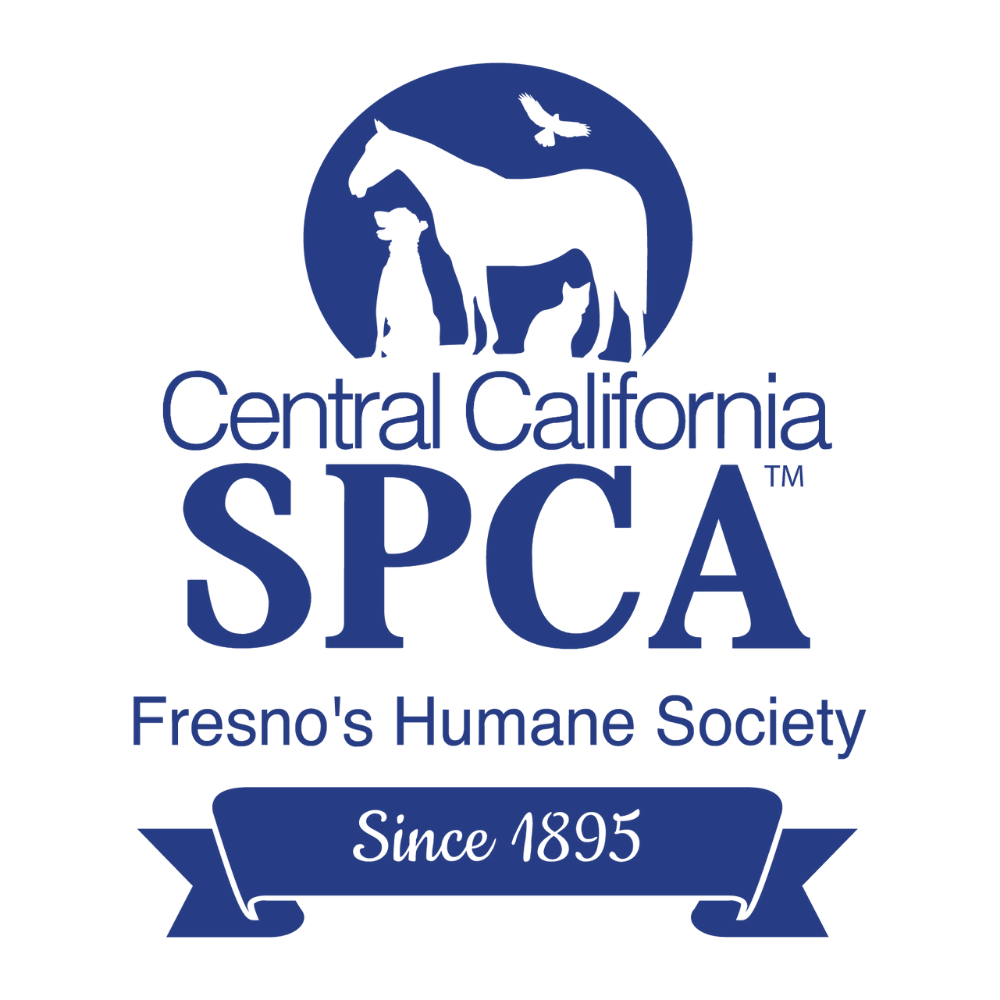 Central California SPCA in Fresno, 866 | Clear The Shelters 2022 image