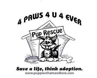 4 Paws 4 U 4 Ever in West Chicago, 602 | Clear The Shelters 2022 image