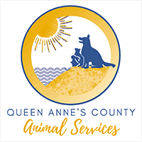 Queen Anne's county animal services in Queenstown, 512 | Clear The Shelters 2022 image