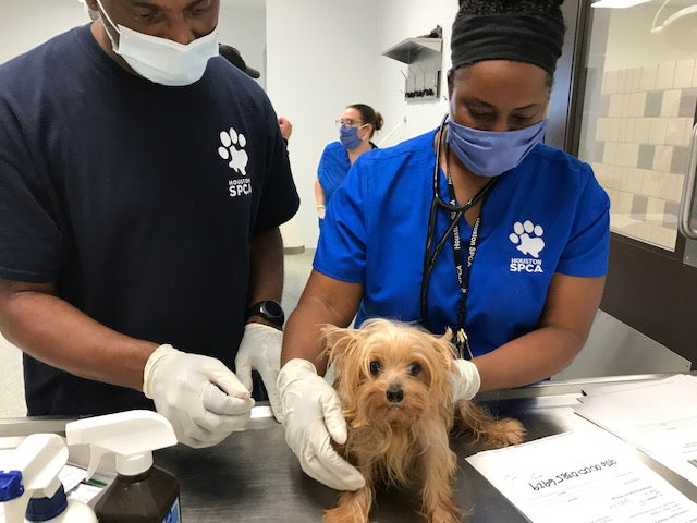 Houston SPCA in Houston, TX | Clear The Shelters image