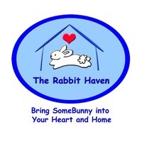 ava the rabbit Haven in Santa Cruz Ca , 828 | Clear The Shelters 2022 image