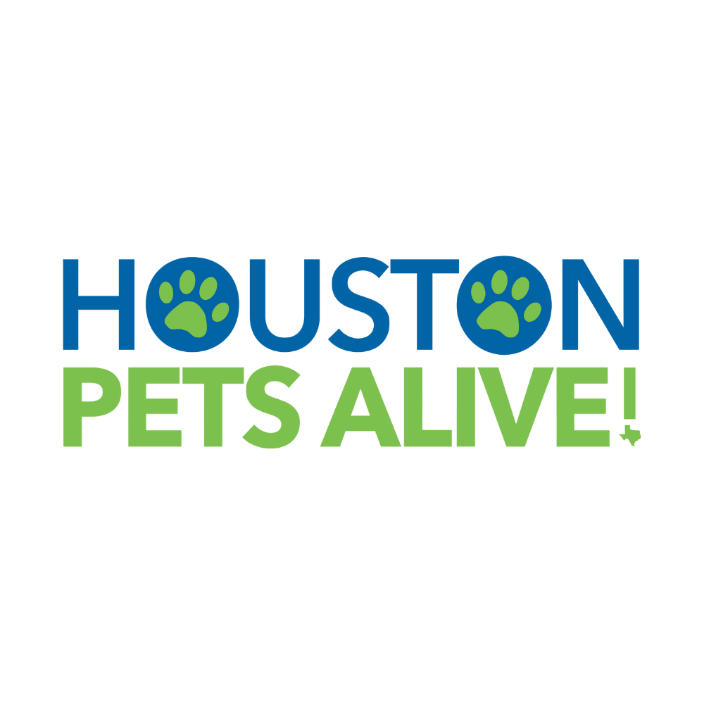 Houston Pets Alive! in Houston, 618 | Clear The Shelters 2022 image