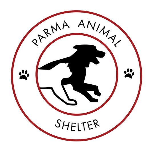 Parma Animal Shelter  in Parma, 510 | Clear The Shelters 2022 image
