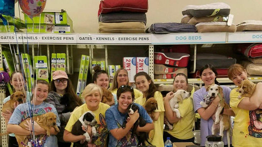 Castaways Pet Rescue  in Darien, GA | Clear The Shelters image