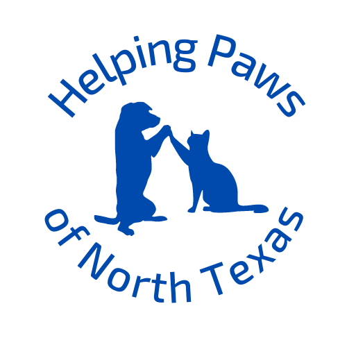 Helping Paws of North Texas in Bedford, 623 | Clear The Shelters 2022 image