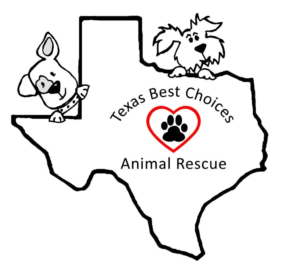  Texas Best Choices Animal Rescue in Quinlan, 623 | Clear The Shelters 2022 image