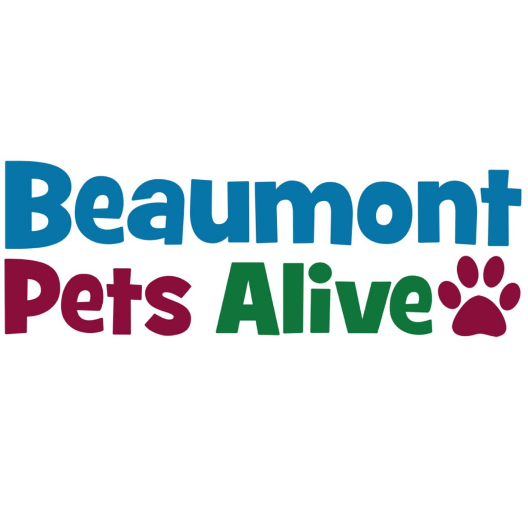 Beaumont Pets Alive in Beaumont, 692 | Clear The Shelters 2022 image